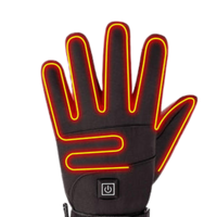 Heated Gloves
